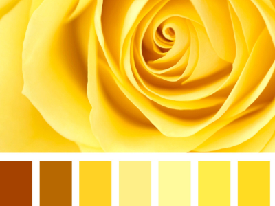 Comment porter le jaune cet Automne-Hiver 2026 ?